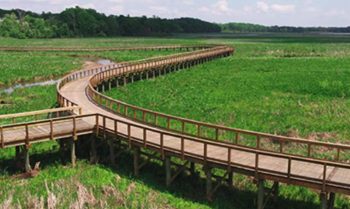 Neabsco Creek Boardwalk,Woodbridge VA USA